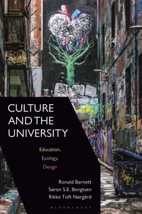 Culture and the University_cover