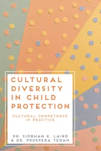 Cultural Diversity in Child Protection_cover