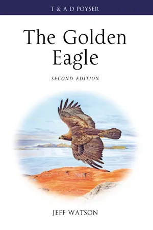 Gordon Murray visits Eagle / Eagle E-Types