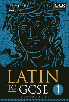 Latin Grammar Laminated Study Guide