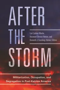 After the Storm_cover