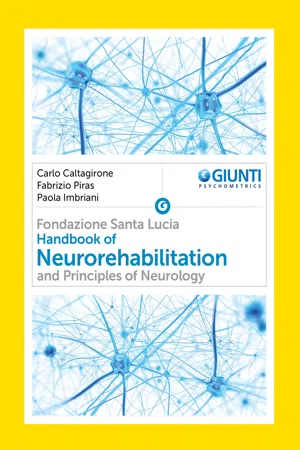 Handbook of Neurorehabilitation and Principles of Neurology
