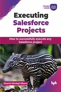 <p>Executing Salesforce Projects</p>_cover