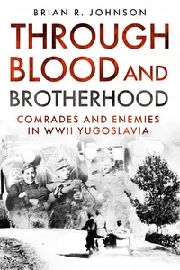 Through Blood and Brotherhood_cover