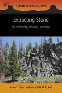 Extracting Stone_cover