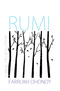 Rumi_cover
