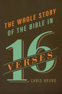 The Whole Story of the Bible in 16 Verses_cover