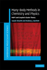 Many-Body Methods in Chemistry and Physics_cover