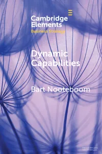 Dynamic Capabilities_cover