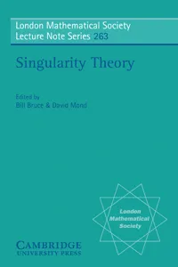 Singularity Theory_cover