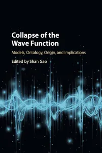 Collapse of the Wave Function_cover