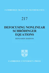 Defocusing Nonlinear Schrödinger Equations_cover