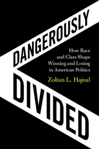 Dangerously Divided_cover