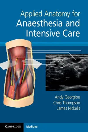 The upper limb (Chapter 6) - Applied Anatomy for Anaesthesia and Intensive  Care