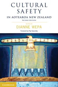 Cultural Safety in Aotearoa New Zealand_cover