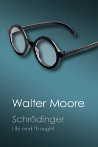 Schrödinger_cover