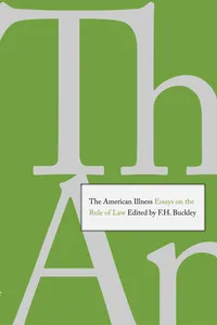 The American Illness_cover