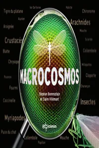 Macrocosmos_cover