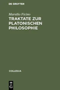 Traktate zur Platonischen Philosophie_cover