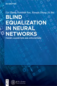 Blind Equalization in Neural Networks_cover