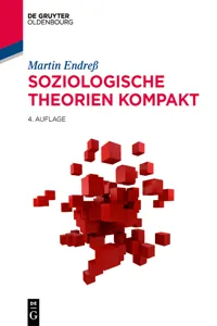 Soziologische Theorien kompakt_cover