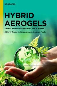 Hybrid Aerogels_cover