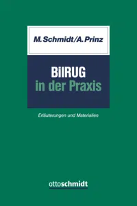 BilRUG in der Praxis_cover