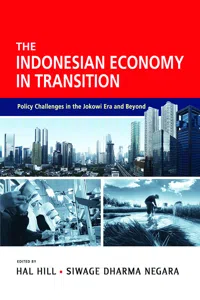 The Indonesian Economy in Transition_cover