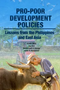 Pro-poor Development Policies_cover