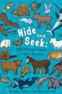 Hide and Seek:_cover