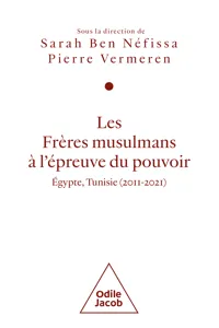 Les Frères musulmans à l'épreuve du pouvoir_cover