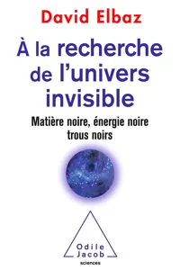 À la recherche de l'Univers invisible_cover