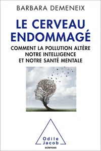 Le Cerveau endommagé_cover