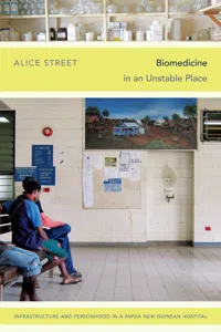 Biomedicine in an Unstable Place_cover