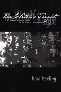 The Witch's Flight_cover
