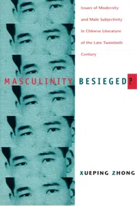 Masculinity Besieged?_cover