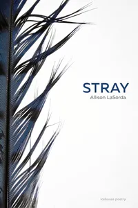 Stray_cover