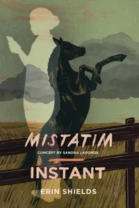 Mistatim / Instant_cover