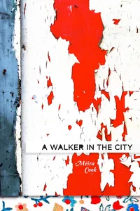 A Walker in the City_cover