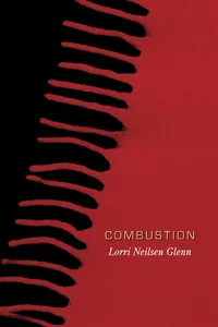 Combustion_cover