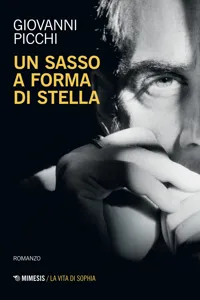 Un sasso a forma di stella_cover