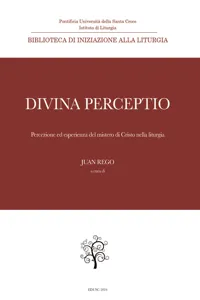 Divina perceptio_cover