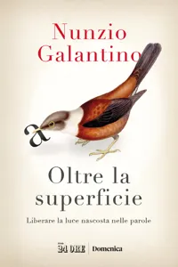 Oltre la superficie_cover