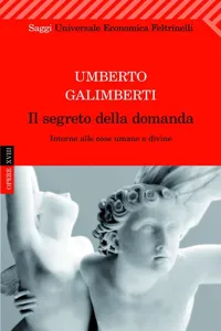 Il segreto della domanda_cover