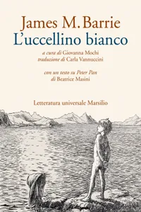 L'uccellino bianco_cover