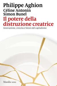 Il potere della distruzione creatrice_cover