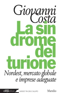 La sindrome del turione_cover