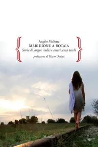 Meridione a rotaia_cover