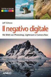 Il negativo digitale_cover