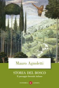 Storia del bosco_cover